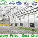 200 Micron UV Resistant Multi Span Plastic Film Agricultural Commercial Greenhouse thumbnail-4