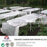PP Spun Bonded Non Woven Agriculture Fabric for Plant Cover thumbnail-5
