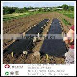 Black Non Woven Fabric Used for Garden Fleece thumbnail-2