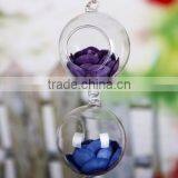 Glass Terrarium, Handblown Glass Terrarium, Air Plant Glass Terrarium