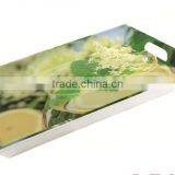 CT-2052 Food Grade Melamine Tray thumbnail-5
