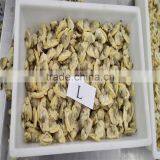 Frozen Variegated Clam Cheap Pirce For Sale thumbnail-3