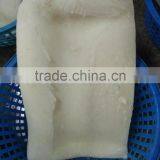 China Giant Squid Meat Skinless and Chemical Free thumbnail-3