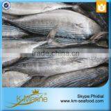 2016 Best Sale Frozen Sarda Sell Fresh Tuna Fish thumbnail-5