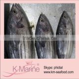 China Whole Round Different Size Skipjack lot number#kmw4031