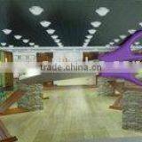 Beautiful Student Shears thumbnail-1