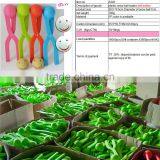 2016 Smiley Snow Slinger Snowball Machine Maker,plastic Snowball Thrower Winter Toys Christamas Snowball Maker With Smiley Happy thumbnail-5