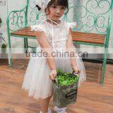 Baby Clothes Wholesale Hot Sale Chiffon Cheap 2017 Baby Clothing Children's Boutique Sleeveless Summer White Flower Girl Dress thumbnail-2