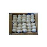 Normal White Garlic (3pcs/small Bag in 10kg/ctn) thumbnail-2