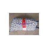 Fresh Garlic thumbnail-2