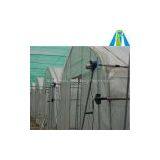 Hot Sale Plastic Film Greenhouse thumbnail-1