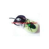Real Insect Amber Optical Mouse,so Cool Gift