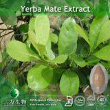 Yerba mate extract