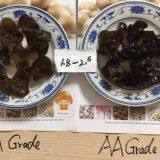 Factory Price Northeast Dried Black Fungus/Auricularia Auricula Grade AA & Grade A (Size:1.8-2.5cm,2.5cm Above) thumbnail-3