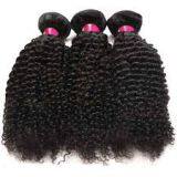 Mixed Color Double Drawn Indian Curly Brazilian Human Hair 14 Inch Malaysian