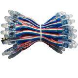 9883 Full Color Exposure Lamp Advertisement Signboard Exposure Lamp Luminous Word RGB Perforated Full Color Lamp String Full Color Exposure Lamp thumbnail-5