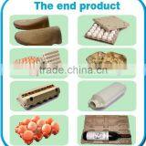 Custom Small Capacity Waste Paper Egg Tray Forming Machine With Six Layer Metal thumbnail-6