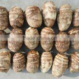 Fresh Taro Supplier thumbnail-1