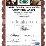 Dry Cat Food Salmon in Bone Shape MJC48 Pet Food Cat Treats thumbnail-4