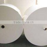 Good Quality Hot Selling pe Coated Paper for Cups