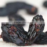 Wholesale Black Raisins Seedless Raisin Xinjiang Raisin thumbnail-5