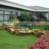 LANDSCAPPING TURF thumbnail-4