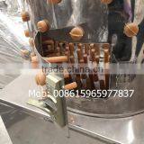 ZH-40 Bird Pluckers Machine Poultry Plucker/quail Plucker Work Rate 10~12pcs/time (Lydia : 0086.15965977837) thumbnail-3