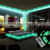 2015 Hot Sell Shenzhen Factory Price Double Sided FPC 60LED IP65 DC12v SMD3528 Green Decorative LED Flexible Strips Light Lamp