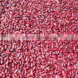 British Red Kidney Bean,220-240pcs/100g,200-220PCS/100G thumbnail-2
