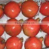 Fresh Organic Pomegranate