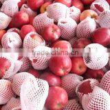 Hot Market of Fresh Red Delicious Apple