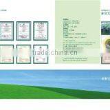 Ningbo Today Food Co., Ltd. company overview - view 3 thumbnail