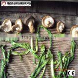 Industrial Tunnel Type Microwave Mushroom/shiitake Dryer and Dehydrator Machine for Sale thumbnail-4