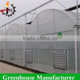 Hot sale discount economical multi-span greenhouses
