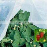 PP NON-WOVEN FABRIC FOR AGRICULTURE 12-90GSM