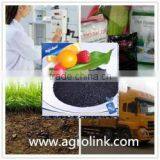 Agrolink Also Agent the Best Organic Fertilizer Sargassum Seaweed Fertilizer thumbnail-4