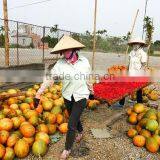 100% Pure Natural Gac Fruit Momordica Cochinchinensis Sement Momordicae Extract thumbnail-4