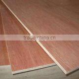 Thuan Phat Import-export Wood Company Limited company overview - view 1 thumbnail