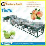 Thoyu Brand Salable Automatic Fruit Grading Machine by Size(SMS: 0086-15903675071)