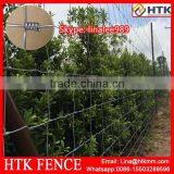 Premium Galvanised Hinge Joint Knotted Field Fencing thumbnail-2