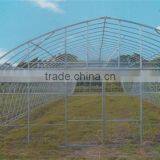 Hot Sale New Tunnel Greenhouse for Mushroom Growing thumbnail-2