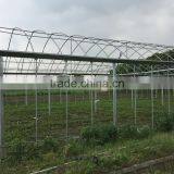 Agicultural Greenhouse thumbnail-5
