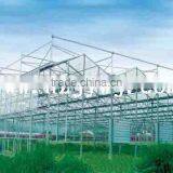 Glasshouse thumbnail-1