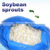 Automatic Mung Bean Soy Bean Sprout Growing System Machine thumbnail-4