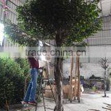 SJ2001011 Landscaping Artificial Big Banyan Tree thumbnail-2