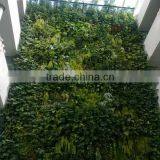 Vertical Wall Garden/fake Plant Wall for Indoor and Outdoor Decoration With Factory Price thumbnail-1