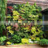 2017 Hot Sale Artificial Ornamental Plants for Wall Decoration Cheap Artificial Agave Plants for Sale thumbnail-1