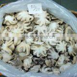 Frozen Octopus Whole Cleaned thumbnail-1