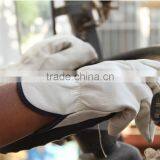 Sunnyhope Custom Leather Driving Gloves thumbnail-2