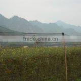 NET HOUSE thumbnail-4